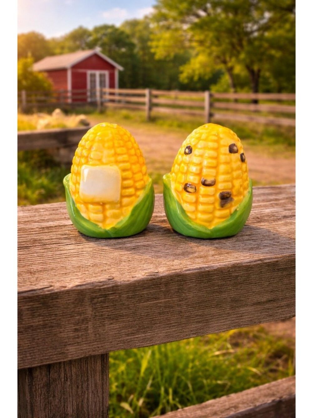 New Fathers Day Corn On the Cob Salt & Pepper Shakers BBQ Party Dinning Set